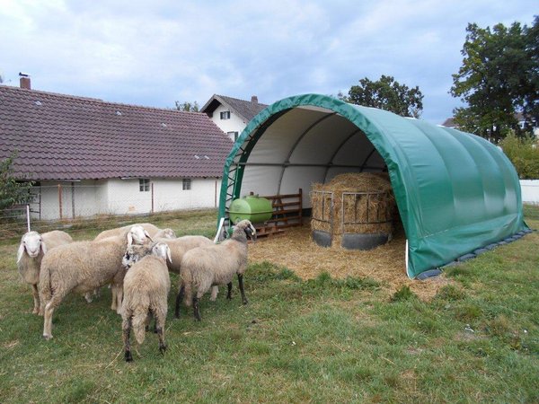 Wohlfühlklima in unseren Weideanlagen für Schafe