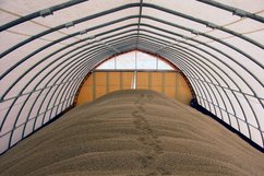 Landwirtschaftliche Rundbogenhalle als Schüttgutlager für Weizen