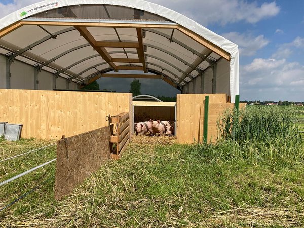 Unsere Rundbogenhalle als mobiler Stall für BIO-Strohschweine