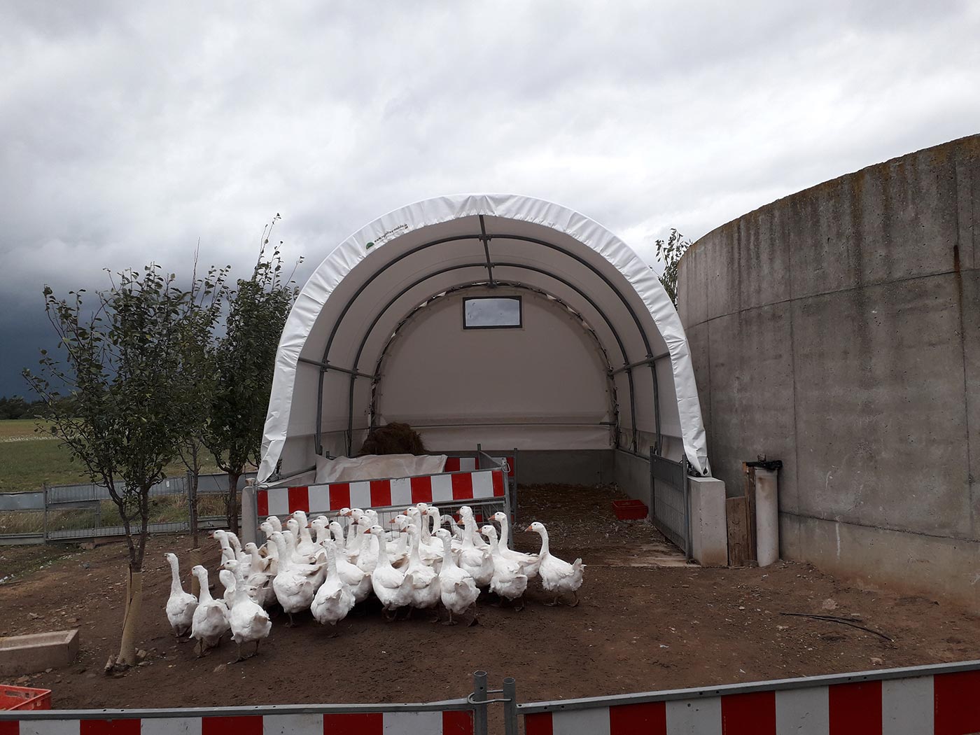 agricultura Rundbogenhalle als Gänsestall agricultura Rundbogenhalle als Gänsestall