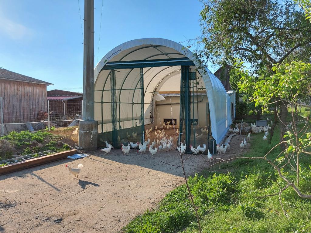 Kleine Rundbogenhalle für Hühner Kleine Rundbogenhalle für Hühner