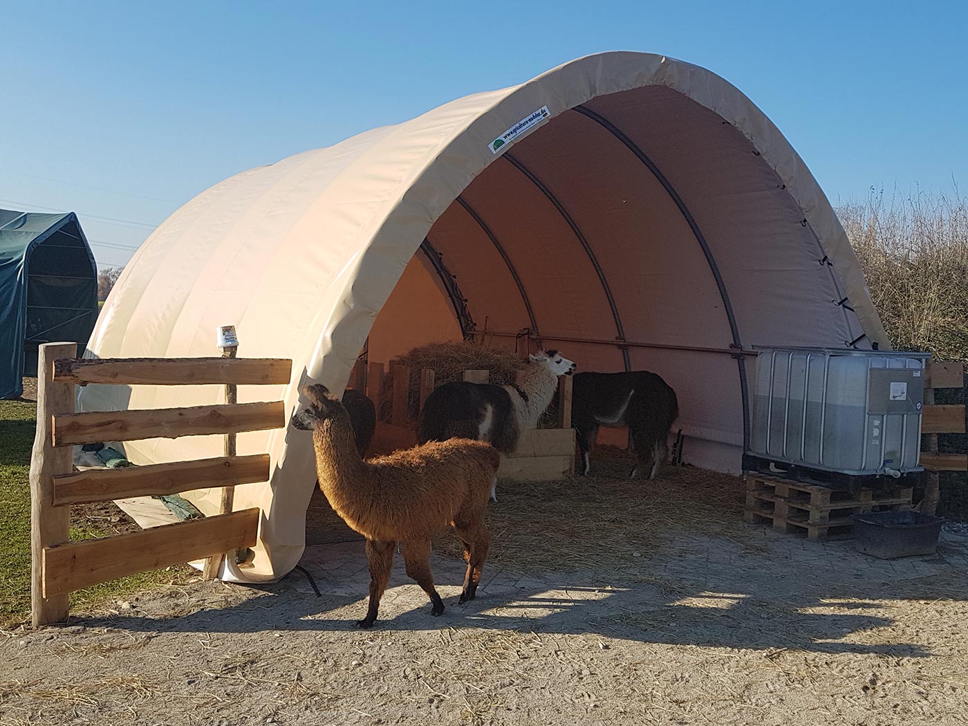 Unsere Halle als Stall für Lamas Unsere Halle als Stall für Lamas