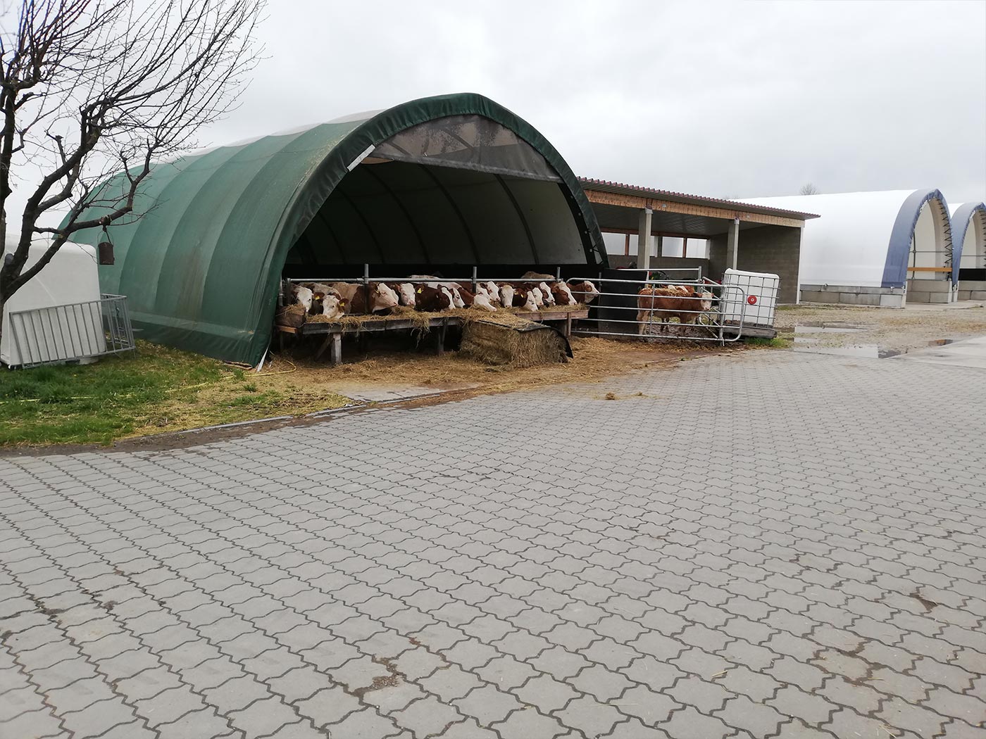 Alle drei Tierhallen auf einem Hof in der Nähe von Marktl am Inn Alle drei Tierhallen auf einem Hof in der Nähe von Marktl am Inn