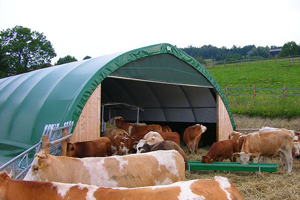 Tierhalle von agricultura modular als Stall für Kühe